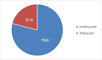 Gráfico, Gráfico circular

Descripción generada automáticamente